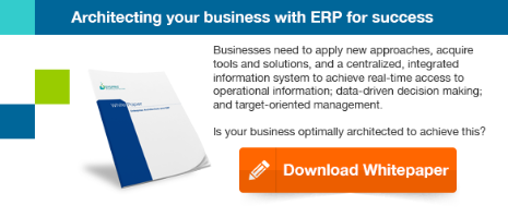 Enterprise Architecture and ERP Whitepaper download 